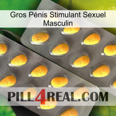 Gros Pénis Stimulant Sexuel Masculin cialis2